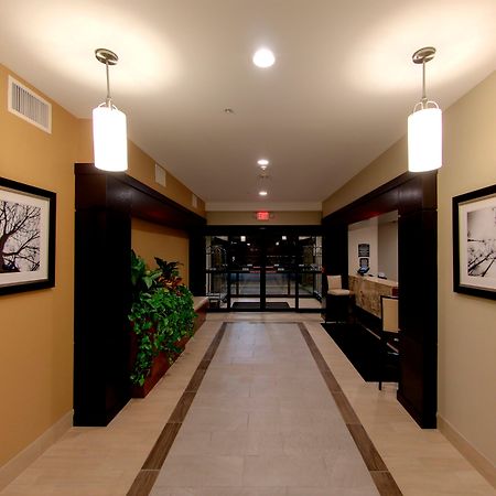 Staybridge Suites Ann Arbor - Research Parkway By Ihg מראה חיצוני תמונה